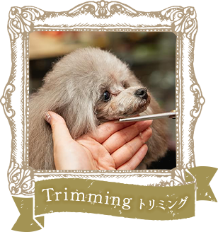 Trimming