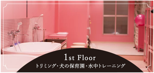 1st Floorトリミング・犬の保育園・水中トレーニング