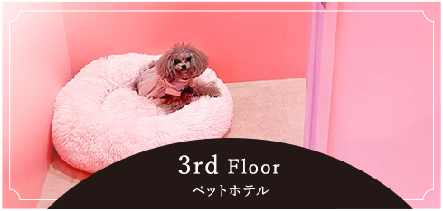 3rd Floorペットホテル