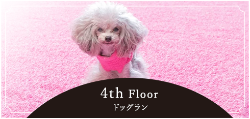 4th Floorドッグラン