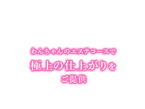 わんちゃんのエステコースで極上の仕上がりをご提供