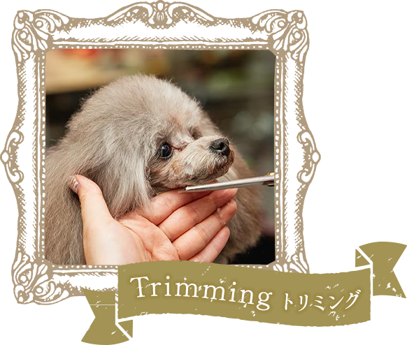 Trimming