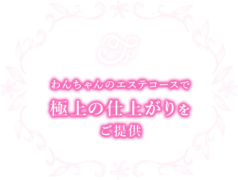 わんちゃんのエステコースで極上の仕上がりをご提供